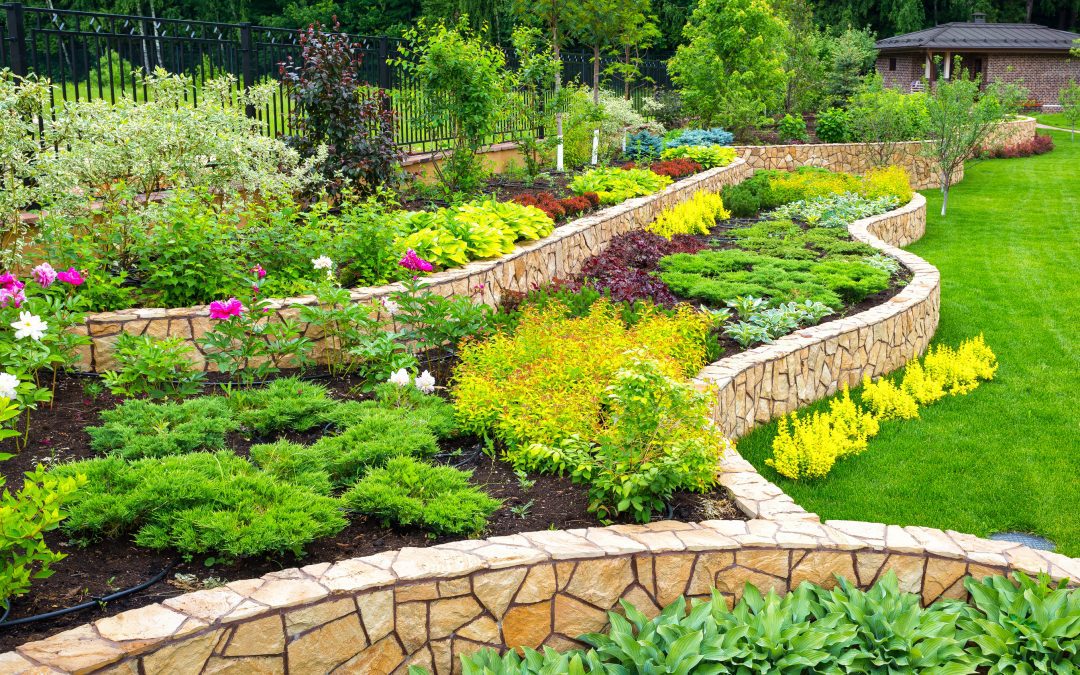 When to mulch borders and what to mulch borders with