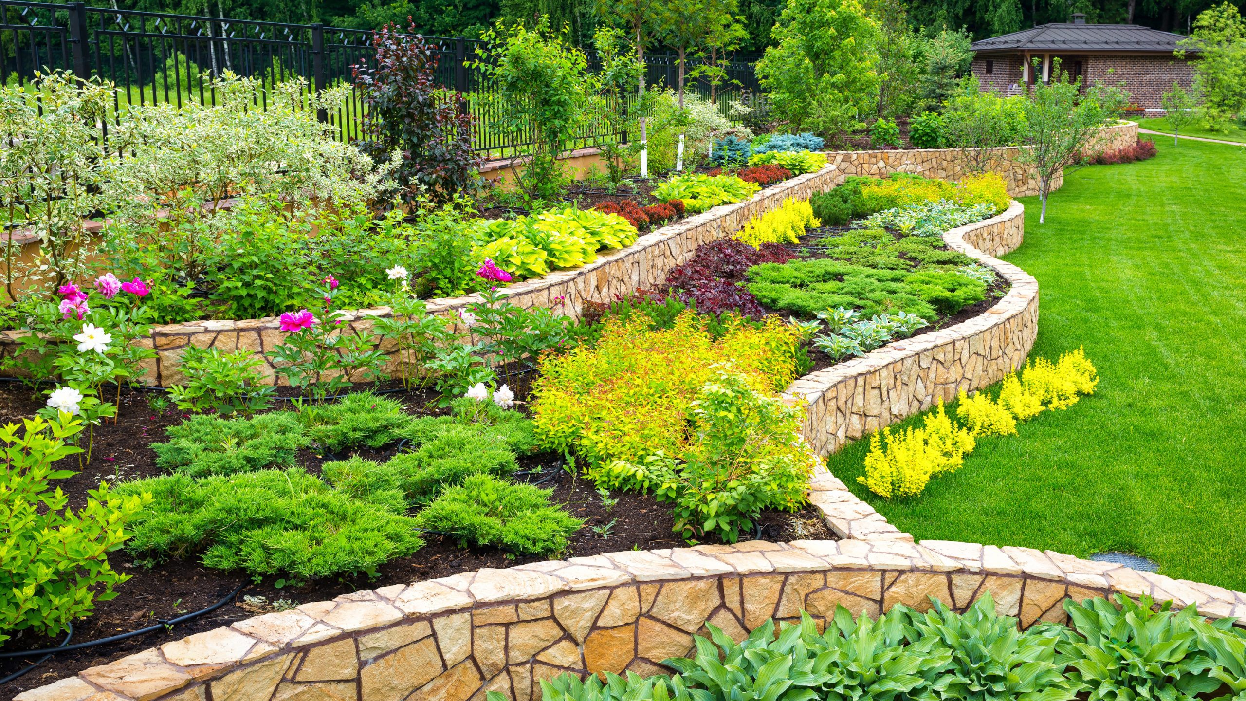 When to mulch borders and what to mulch borders with Glos Gardens
