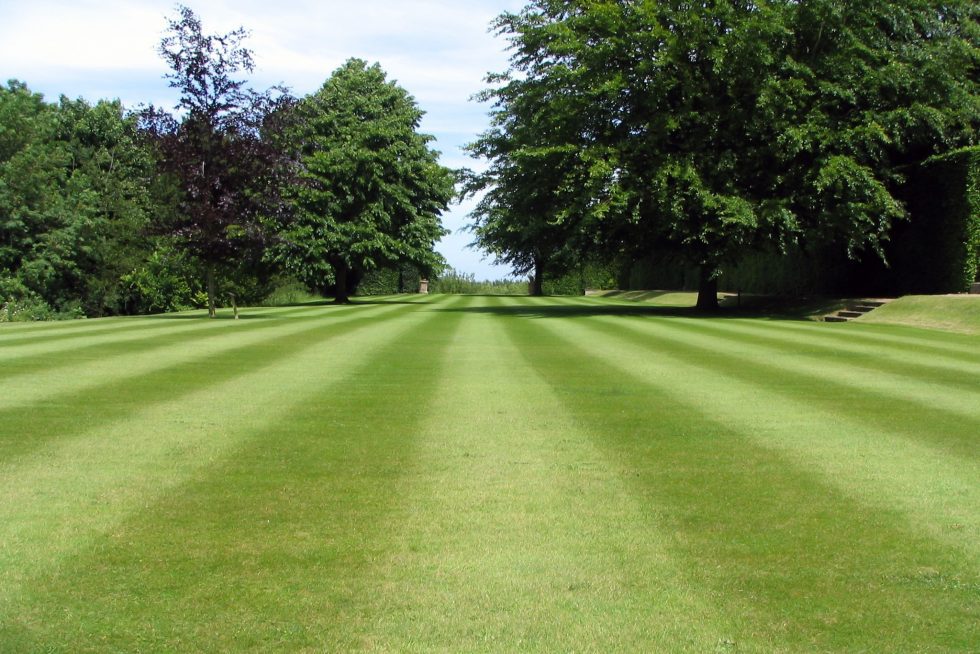 COST OF CUTTING GRASS
